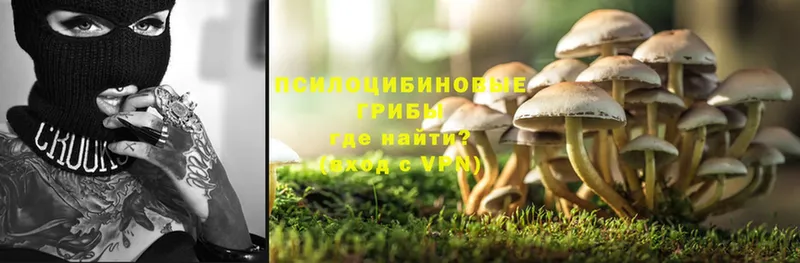 купить закладку  Ярославль  ОМГ ОМГ зеркало  Галлюциногенные грибы Magic Shrooms 